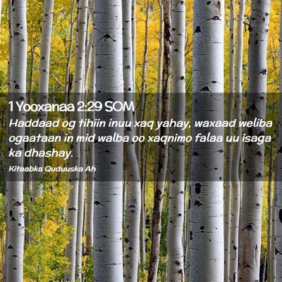 Picture 02 - 1 Yooxanaa 2:29 SOM - Haddaad og tihiin inuu xaq yahay, waxaad weliba - Bible Verse Picture