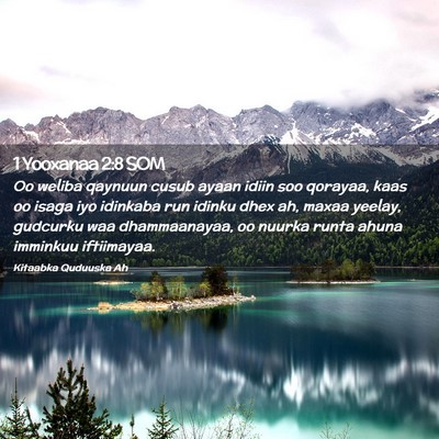 Picture 02 - 1 Yooxanaa 2:8 SOM - Oo weliba qaynuun cusub ayaan idiin soo qorayaa, - Bible Verse Picture