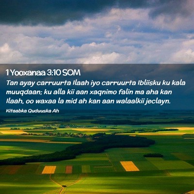Picture 02 - 1 Yooxanaa 3:10 SOM - Tan ayay carruurta Ilaah iyo carruurta Ibliisku - Bible Verse Picture