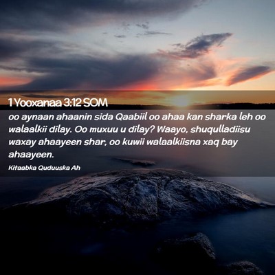 Picture 02 - 1 Yooxanaa 3:12 SOM - oo aynaan ahaanin sida Qaabiil oo ahaa kan sharka - Bible Verse Picture