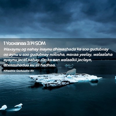 Picture 02 - 1 Yooxanaa 3:14 SOM - Waxaynu og nahay inaynu dhimashada ka soo - Bible Verse Picture