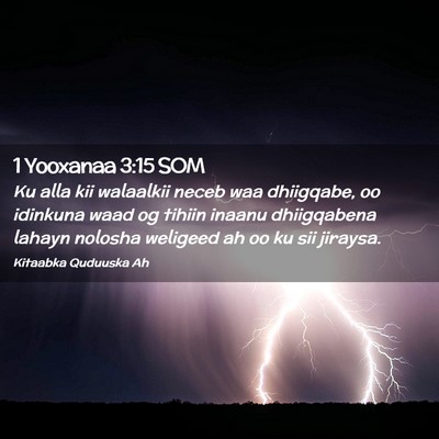 Picture 02 - 1 Yooxanaa 3:15 SOM - Ku alla kii walaalkii neceb waa dhiigqabe, oo - Bible Verse Picture