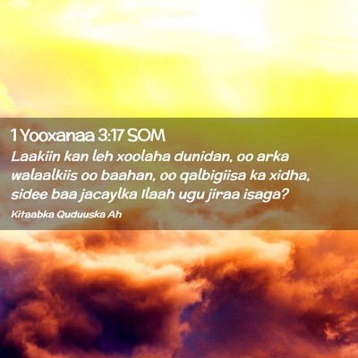 Picture 02 - 1 Yooxanaa 3:17 SOM - Laakiin kan leh xoolaha dunidan, oo arka - Bible Verse Picture