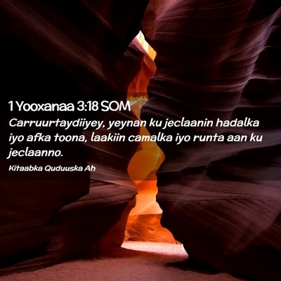 Picture 02 - 1 Yooxanaa 3:18 SOM - Carruurtaydiiyey, yeynan ku jeclaanin hadalka iyo - Bible Verse Picture