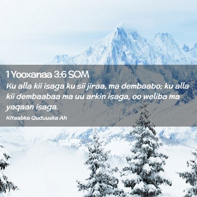 Picture 02 - 1 Yooxanaa 3:6 SOM - Ku alla kii isaga ku sii jiraa, ma dembaabo; ku - Bible Verse Picture