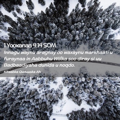Picture 02 - 1 Yooxanaa 4:14 SOM - Innagu waynu aragnay oo waxaynu markhaati u - Bible Verse Picture