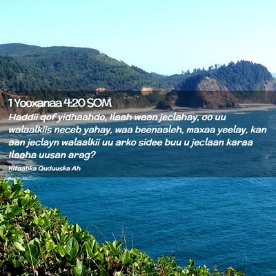 Picture 02 - 1 Yooxanaa 4:20 SOM - Haddii qof yidhaahdo, Ilaah waan jeclahay, oo uu - Bible Verse Picture