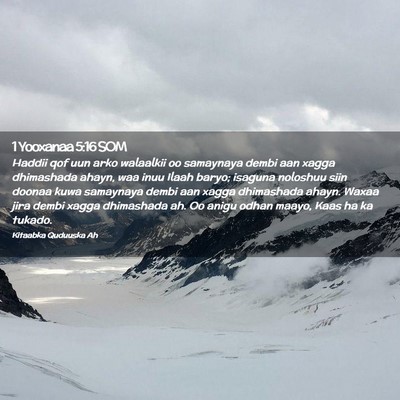 Picture 02 - 1 Yooxanaa 5:16 SOM - Haddii qof uun arko walaalkii oo samaynaya dembi - Bible Verse Picture