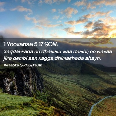Picture 02 - 1 Yooxanaa 5:17 SOM - Xaqdarrada oo dhammu waa dembi; oo waxaa jira - Bible Verse Picture