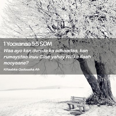 Picture 02 - 1 Yooxanaa 5:5 SOM - Waa ayo kan dunida ka adkaadaa, kan rumaystaa - Bible Verse Picture