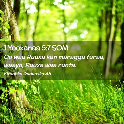 Picture 02 - 1 Yooxanaa 5:7 SOM - Oo waa Ruuxa kan maragga furaa, waayo, Ruuxa waa - Bible Verse Picture