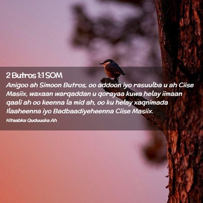 Picture 02 - 2 Butros 1:1 SOM - Anigoo ah Simoon Butros, oo addoon iyo rasuulba u - Bible Verse Picture