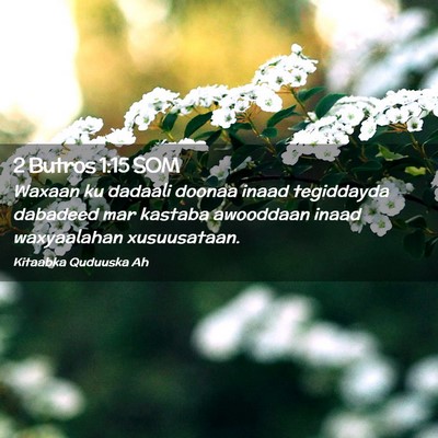 Picture 02 - 2 Butros 1:15 SOM - Waxaan ku dadaali doonaa inaad tegiddayda - Bible Verse Picture