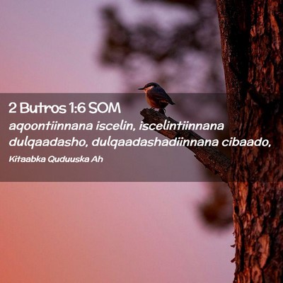 Picture 02 - 2 Butros 1:6 SOM - aqoontiinnana iscelin, iscelintiinnana - Bible Verse Picture