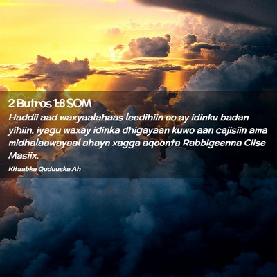 Picture 02 - 2 Butros 1:8 SOM - Haddii aad waxyaalahaas leedihiin oo ay idinku - Bible Verse Picture