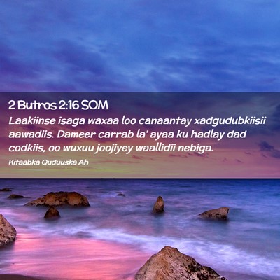 Picture 02 - 2 Butros 2:16 SOM - Laakiinse isaga waxaa loo canaantay - Bible Verse Picture