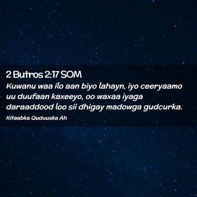 Picture 02 - 2 Butros 2:17 SOM - Kuwanu waa ilo aan biyo lahayn, iyo ceeryaamo uu - Bible Verse Picture