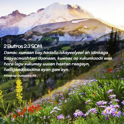 Picture 02 - 2 Butros 2:3 SOM - Damac xumaan bay hadallo iskayeelyeel ah idinkaga - Bible Verse Picture