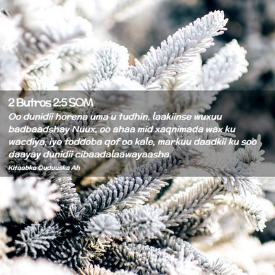 Picture 02 - 2 Butros 2:5 SOM - Oo dunidii horena uma u tudhin, laakiinse wuxuu - Bible Verse Picture
