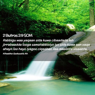 Picture 02 - 2 Butros 2:9 SOM - Rabbigu waa yaqaan sida kuwa cibaadada leh - Bible Verse Picture