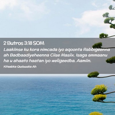 Picture 02 - 2 Butros 3:18 SOM - Laakiinse ku kora nimcada iyo aqoonta Rabbigeenna - Bible Verse Picture
