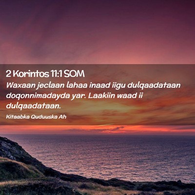 Picture 02 - 2 Korintos 11:1 SOM - Waxaan jeclaan lahaa inaad iigu dulqaadataan - Bible Verse Picture