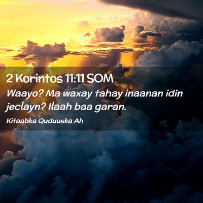Picture 02 - 2 Korintos 11:11 SOM - Waayo? Ma waxay tahay inaanan idin jeclayn? Ilaah - Bible Verse Picture
