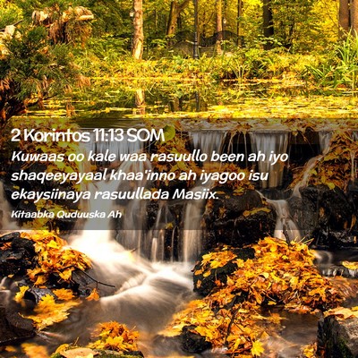 Picture 02 - 2 Korintos 11:13 SOM - Kuwaas oo kale waa rasuullo been ah iyo - Bible Verse Picture