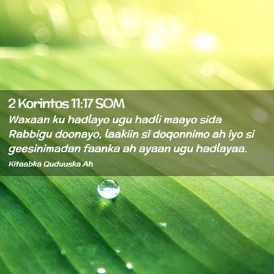 Picture 02 - 2 Korintos 11:17 SOM - Waxaan ku hadlayo ugu hadli maayo sida Rabbigu - Bible Verse Picture