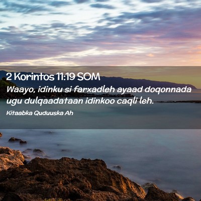 Picture 02 - 2 Korintos 11:19 SOM - Waayo, idinku si farxadleh ayaad doqonnada ugu - Bible Verse Picture