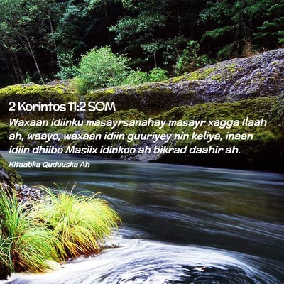 Picture 02 - 2 Korintos 11:2 SOM - Waxaan idiinku masayrsanahay masayr xagga Ilaah - Bible Verse Picture