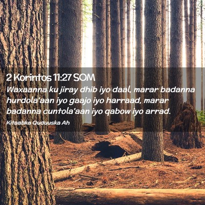 Picture 02 - 2 Korintos 11:27 SOM - Waxaanna ku jiray dhib iyo daal, marar badanna - Bible Verse Picture