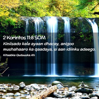 Picture 02 - 2 Korintos 11:8 SOM - Kiniisado kale ayaan dhacay, anigoo mushahaaro ka - Bible Verse Picture