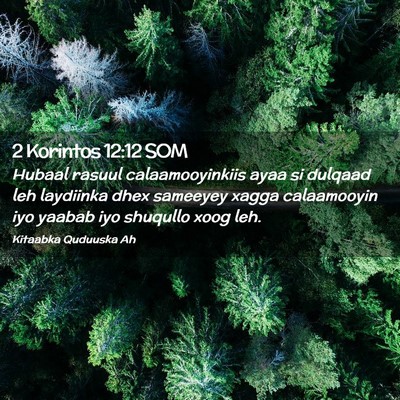 Picture 02 - 2 Korintos 12:12 SOM - Hubaal rasuul calaamooyinkiis ayaa si dulqaad leh - Bible Verse Picture