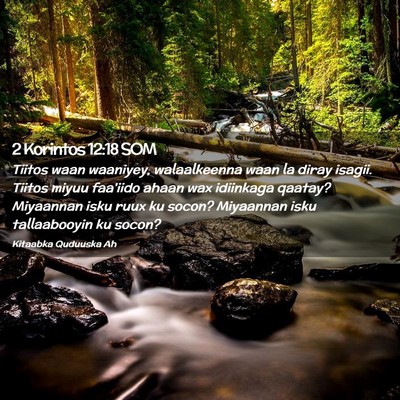 Picture 02 - 2 Korintos 12:18 SOM - Tiitos waan waaniyey, walaalkeenna waan la diray - Bible Verse Picture