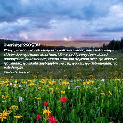 Picture 02 - 2 Korintos 12:20 SOM - Waayo, waxaan ka cabsanayaa in, kolkaan imaado, - Bible Verse Picture