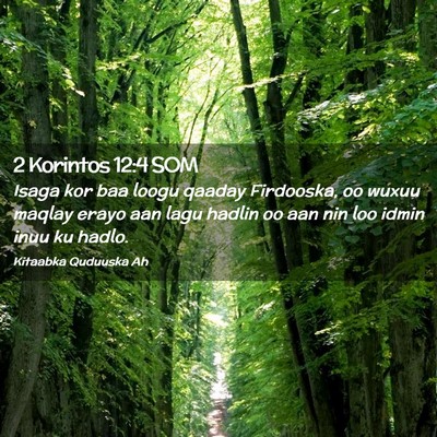 Picture 02 - 2 Korintos 12:4 SOM - Isaga kor baa loogu qaaday Firdooska, oo wuxuu - Bible Verse Picture