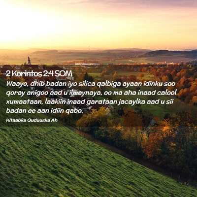 Picture 02 - 2 Korintos 2:4 SOM - Waayo, dhib badan iyo silica qalbiga ayaan idinku - Bible Verse Picture