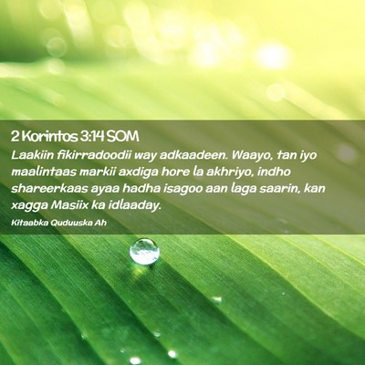 Picture 02 - 2 Korintos 3:14 SOM - Laakiin fikirradoodii way adkaadeen. Waayo, tan - Bible Verse Picture