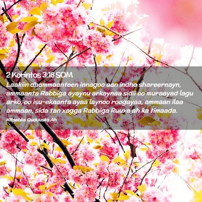 Picture 02 - 2 Korintos 3:18 SOM - Laakiin dhammaanteen innagoo aan indho - Bible Verse Picture
