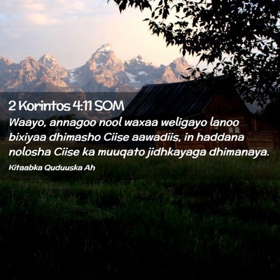 Picture 02 - 2 Korintos 4:11 SOM - Waayo, annagoo nool waxaa weligayo lanoo bixiyaa - Bible Verse Picture