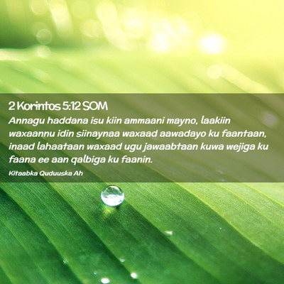 Picture 02 - 2 Korintos 5:12 SOM - Annagu haddana isu kiin ammaani mayno, laakiin - Bible Verse Picture