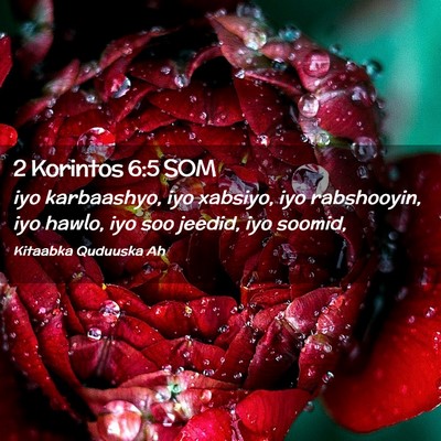 Picture 02 - 2 Korintos 6:5 SOM - iyo karbaashyo, iyo xabsiyo, iyo rabshooyin, iyo - Bible Verse Picture