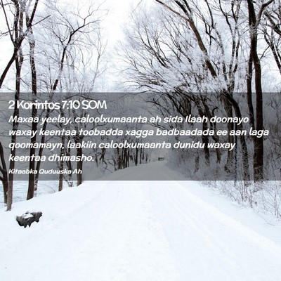 Picture 02 - 2 Korintos 7:10 SOM - Maxaa yeelay, caloolxumaanta ah sida Ilaah - Bible Verse Picture
