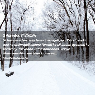 Picture 02 - 2 Korintos 7:13 SOM - Sidaa aawadeed waa lana dhiirrigeliyey. - Bible Verse Picture