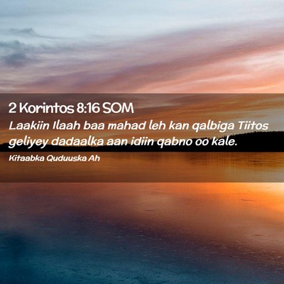 Picture 02 - 2 Korintos 8:16 SOM - Laakiin Ilaah baa mahad leh kan qalbiga Tiitos - Bible Verse Picture