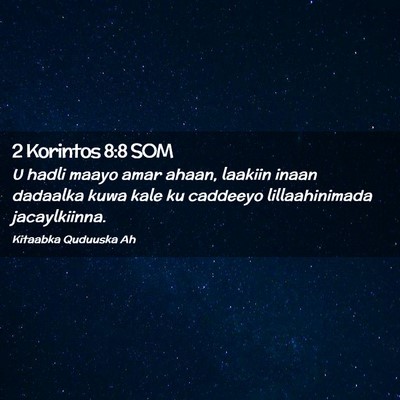 Picture 02 - 2 Korintos 8:8 SOM - U hadli maayo amar ahaan, laakiin inaan dadaalka - Bible Verse Picture