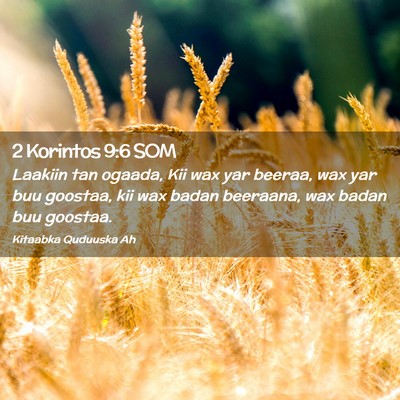 Picture 02 - 2 Korintos 9:6 SOM - Laakiin tan ogaada, Kii wax yar beeraa, wax yar - Bible Verse Picture