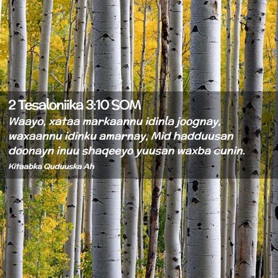 Picture 02 - 2 Tesaloniika 3:10 SOM - Waayo, xataa markaannu idinla joognay, waxaannu - Bible Verse Picture