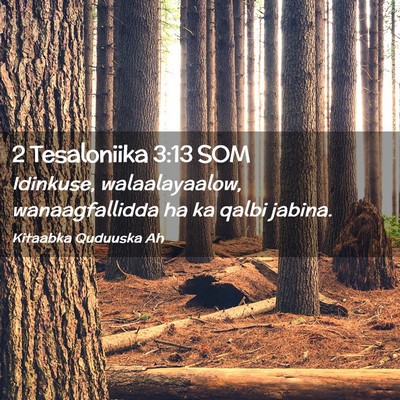 Picture 02 - 2 Tesaloniika 3:13 SOM - Idinkuse, walaalayaalow, wanaagfallidda ha ka - Bible Verse Picture